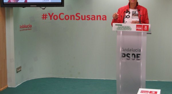 El PSOE urge al PP a auditar la gestión de Limasa 