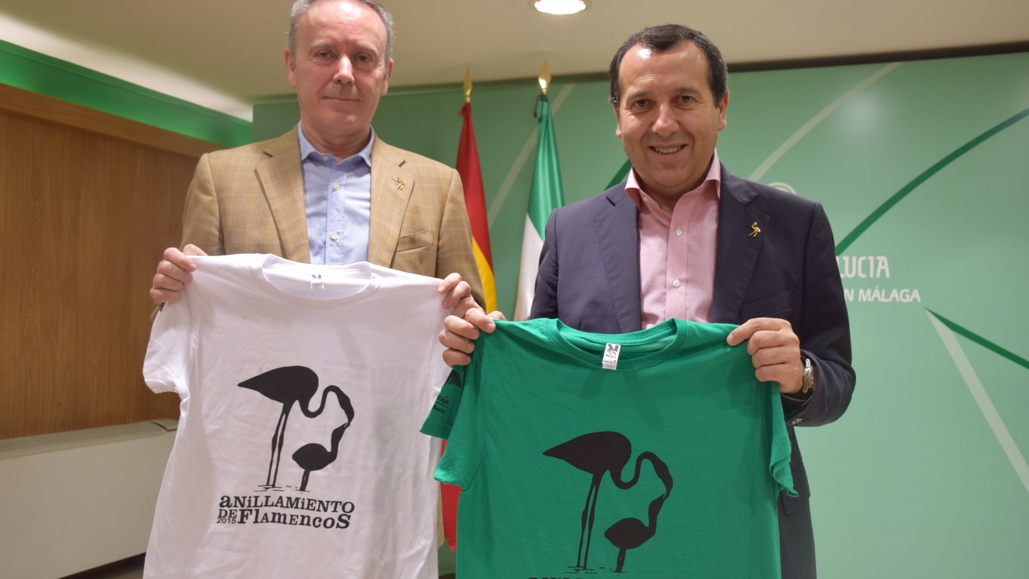 Más de 13.000 pollos de flamencos nacen este año en la Laguna de Fuente de Piedra