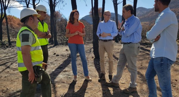 La Junta inicia las obras de emergencia para la  regeneración de la Sierra de Mijas