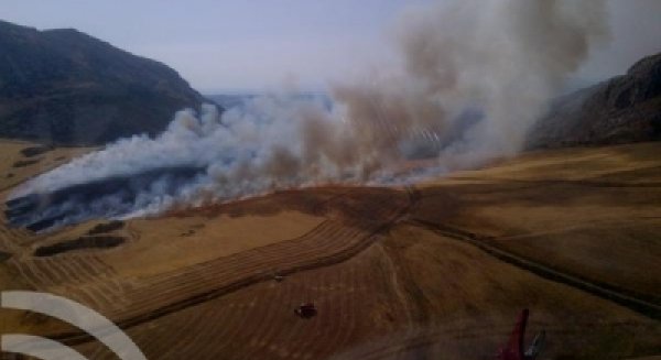 Controlado el incendio agrícola declarado en Antequera