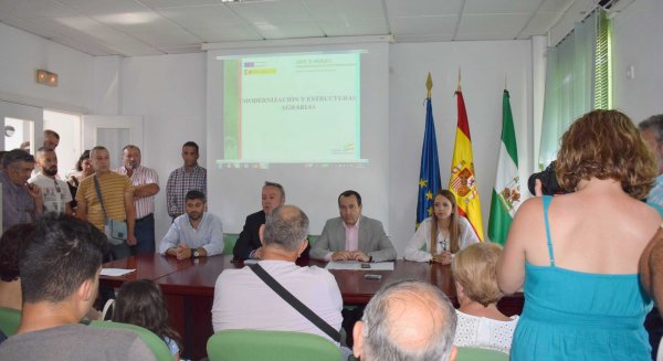 La Junta incentiva el relevo generacional del campo andaluz a través de subvenciones dirigidas a jóvenes agricultores