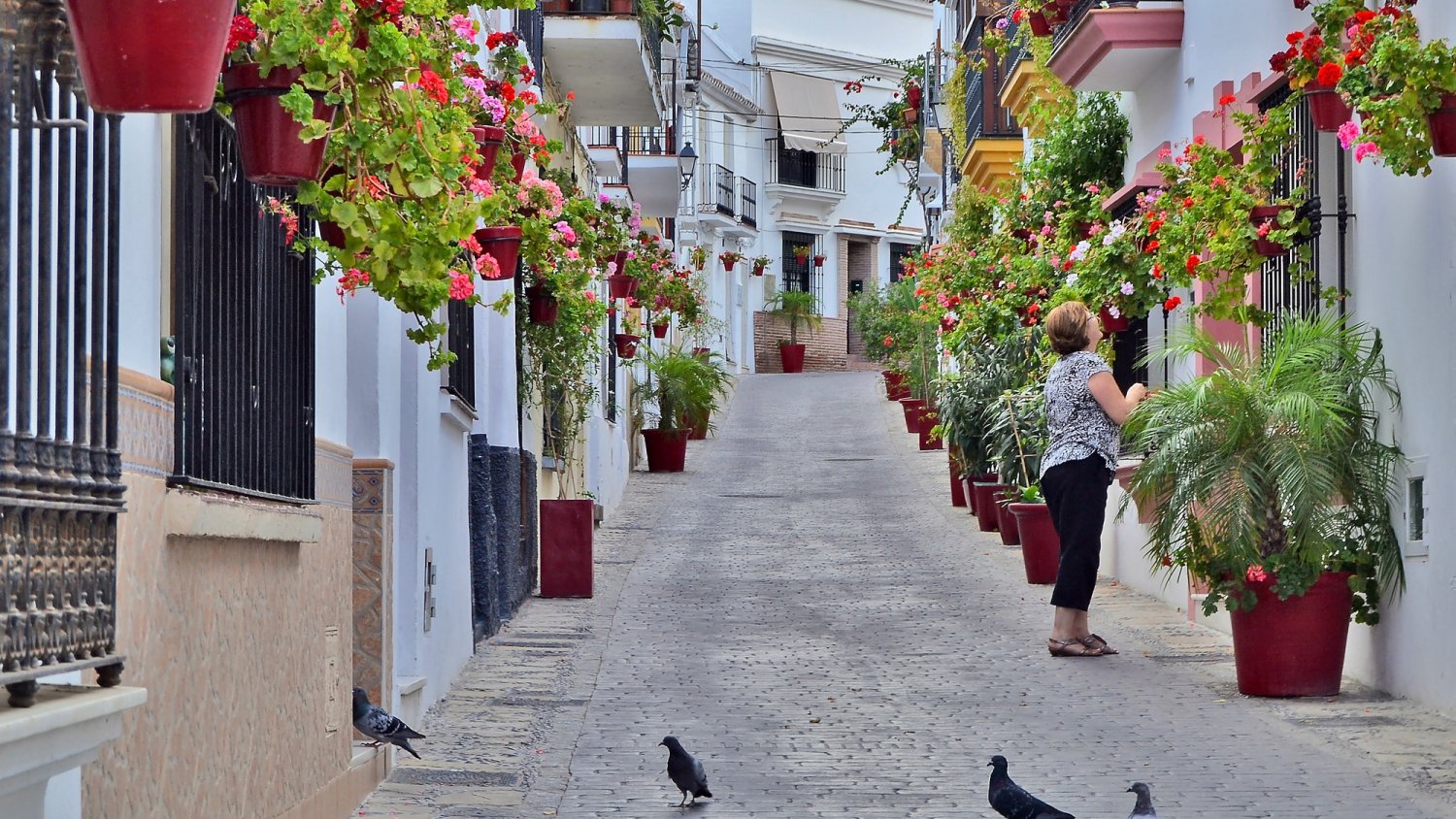 El Ayuntamiento remodela tres calles del casco antiguo para seguir impulsando el proyecto 'Estepona, Jardín de la Costa del Sol'