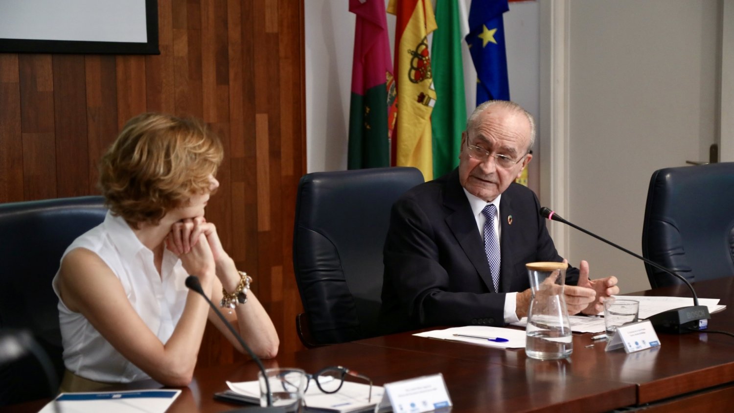 Málaga se integra en la Red Internacional de Observatorios de Turismo Sostenible de la OMT