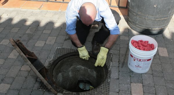 El Ayuntamiento de Estepona inicia un plan de desinsectación y desratización en el municipio