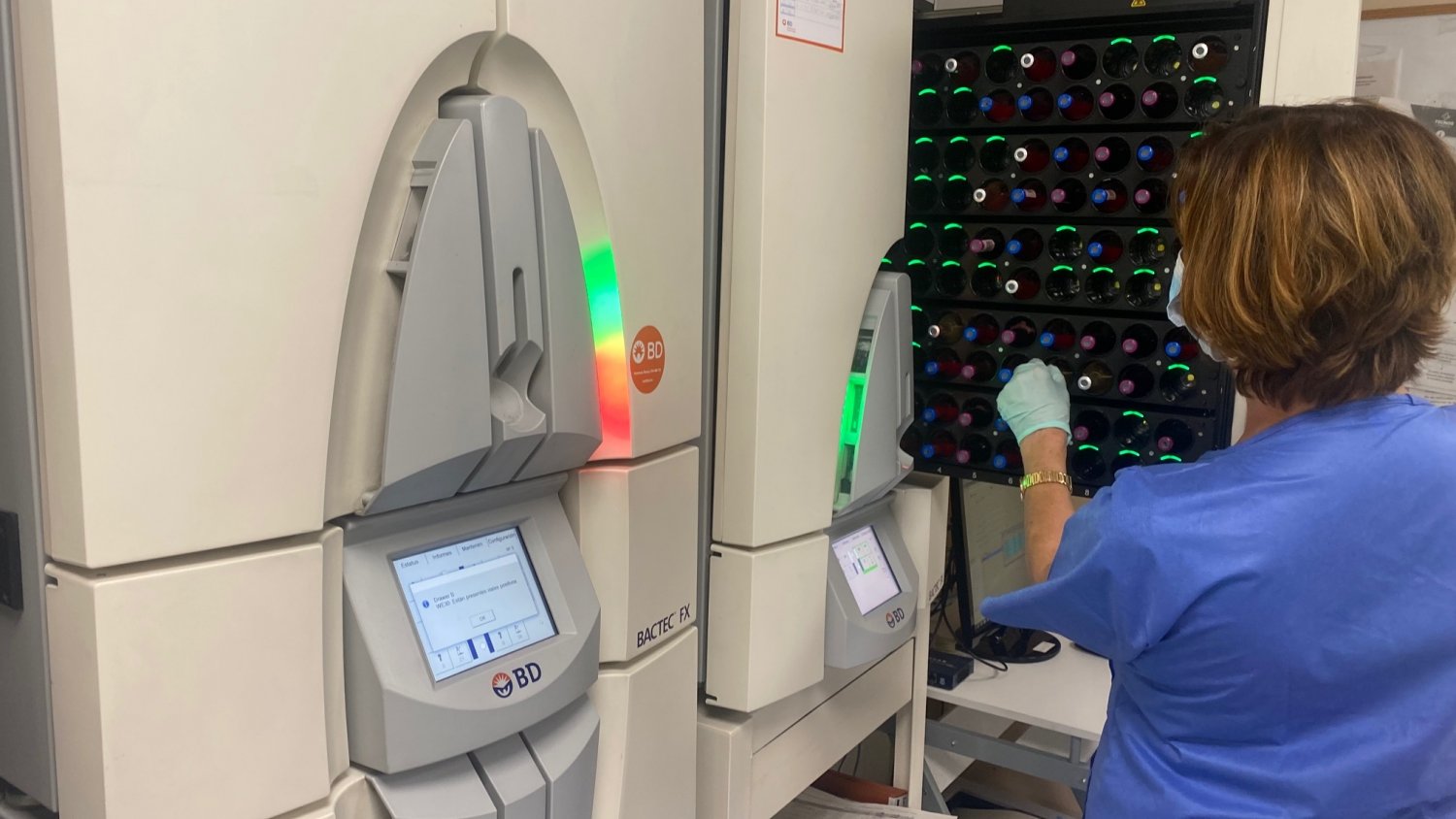 El laboratorio de Microbiología del Hospital Regional notifica los resultados de hemocultivos positivos durante las 24 horas