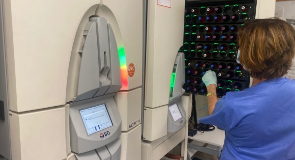 El laboratorio de Microbiología del Hospital Regional notifica los resultados de hemocultivos positivos durante las 24 horas