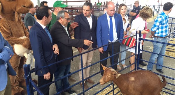 La feria Sabor a Málaga de Antequera espera 25.000 visitantes este fin de semana