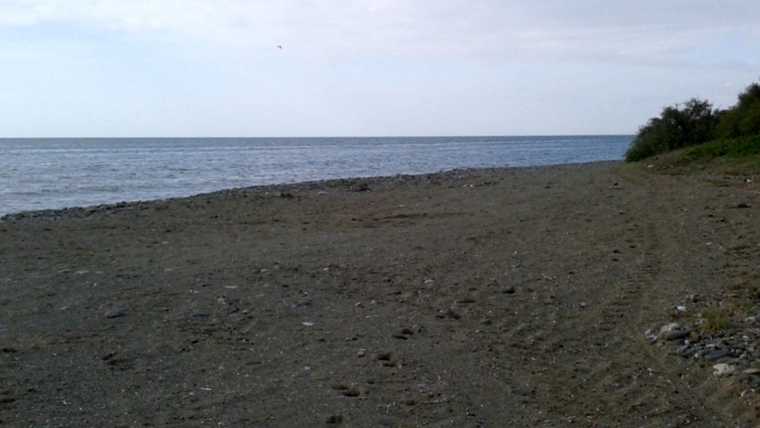 El Ayuntamiento de Estepona dice que la Junta deniega que 'La Morocha' se convierta en la primera playa canina