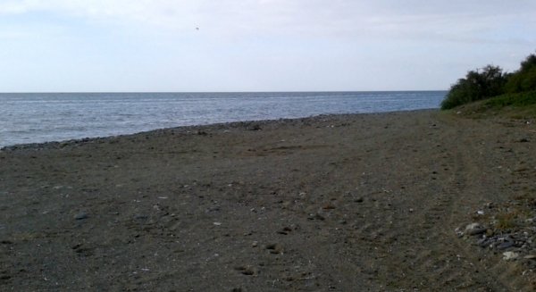 El Ayuntamiento de Estepona dice que la Junta deniega que 'La Morocha' se convierta en la primera playa canina