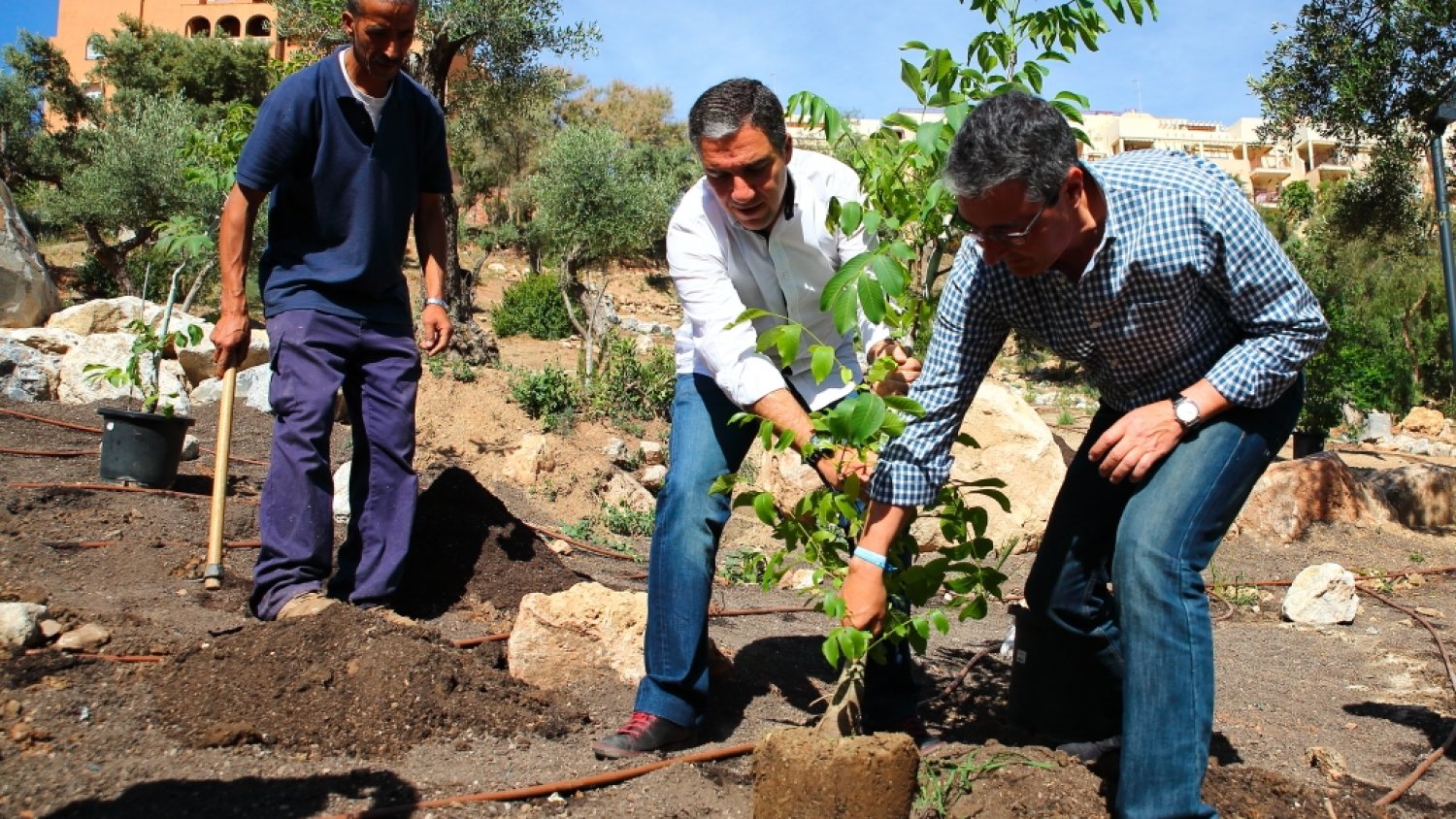 El PP propone plantar 100.000 árboles en Málaga para compensar las emisiones de CO2