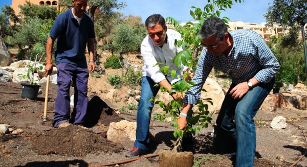 El PP propone plantar 100.000 árboles en Málaga para compensar las emisiones de CO2