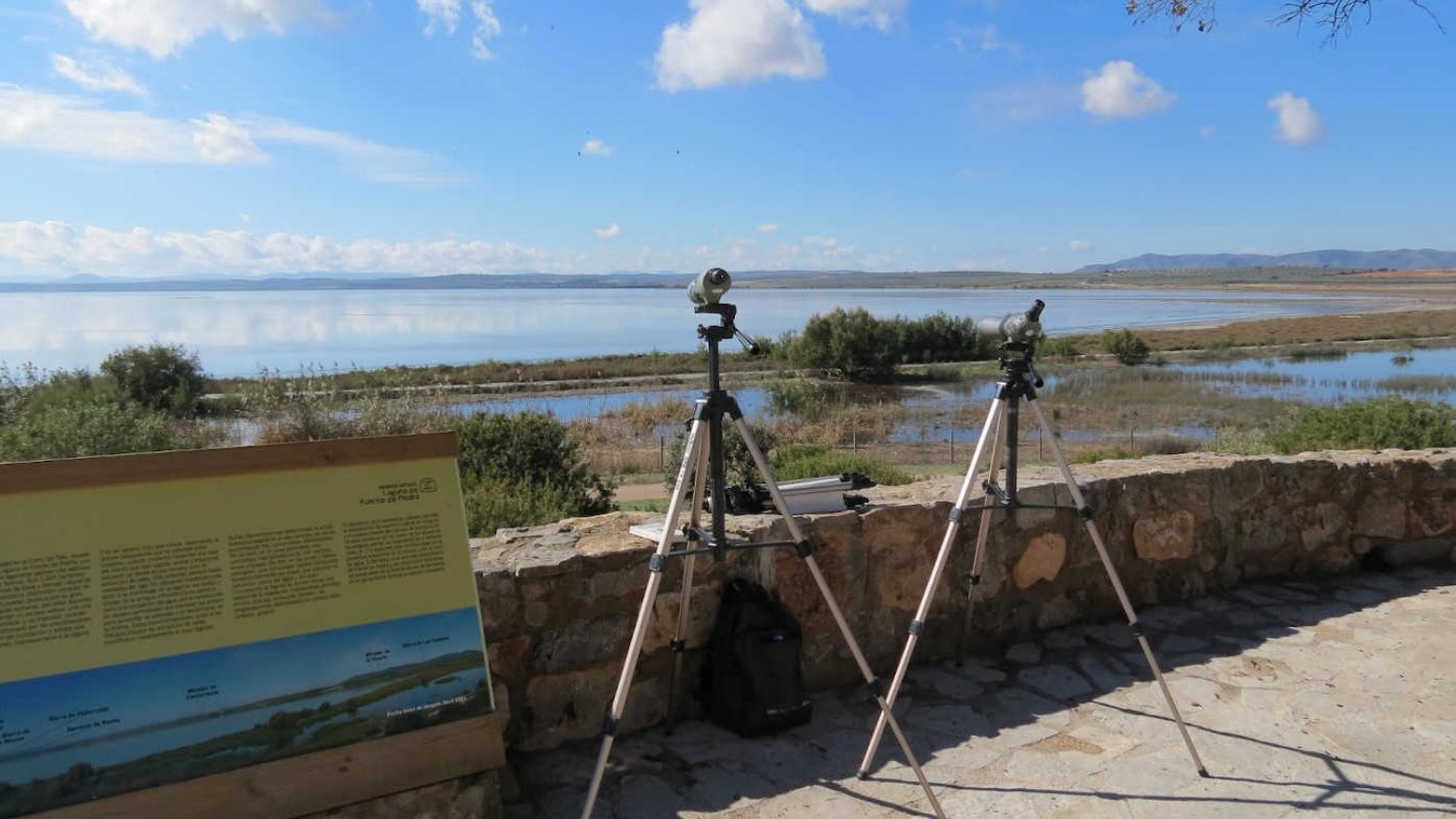 Andalucía se promociona como destino idóneo para el turismo ornitológico en Delta Birding Festival