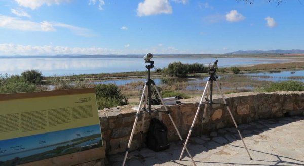 Andalucía se promociona como destino idóneo para el turismo ornitológico en Delta Birding Festival