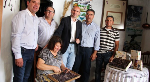 El PSOE asegura que se implicará en la promoción y venta de la pasa malagueña