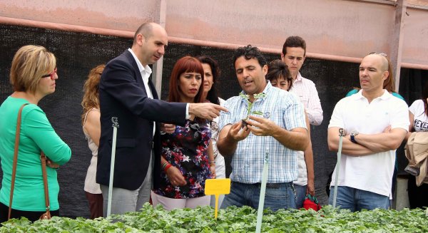 El PSOE invertirá al menos 15 millones desde Diputación para contratar a más de 6.000 desempleados