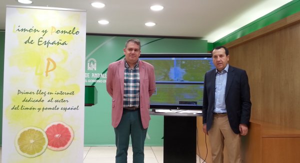 La Junta publica el primer blog informativo sobre el limón y el pomelo