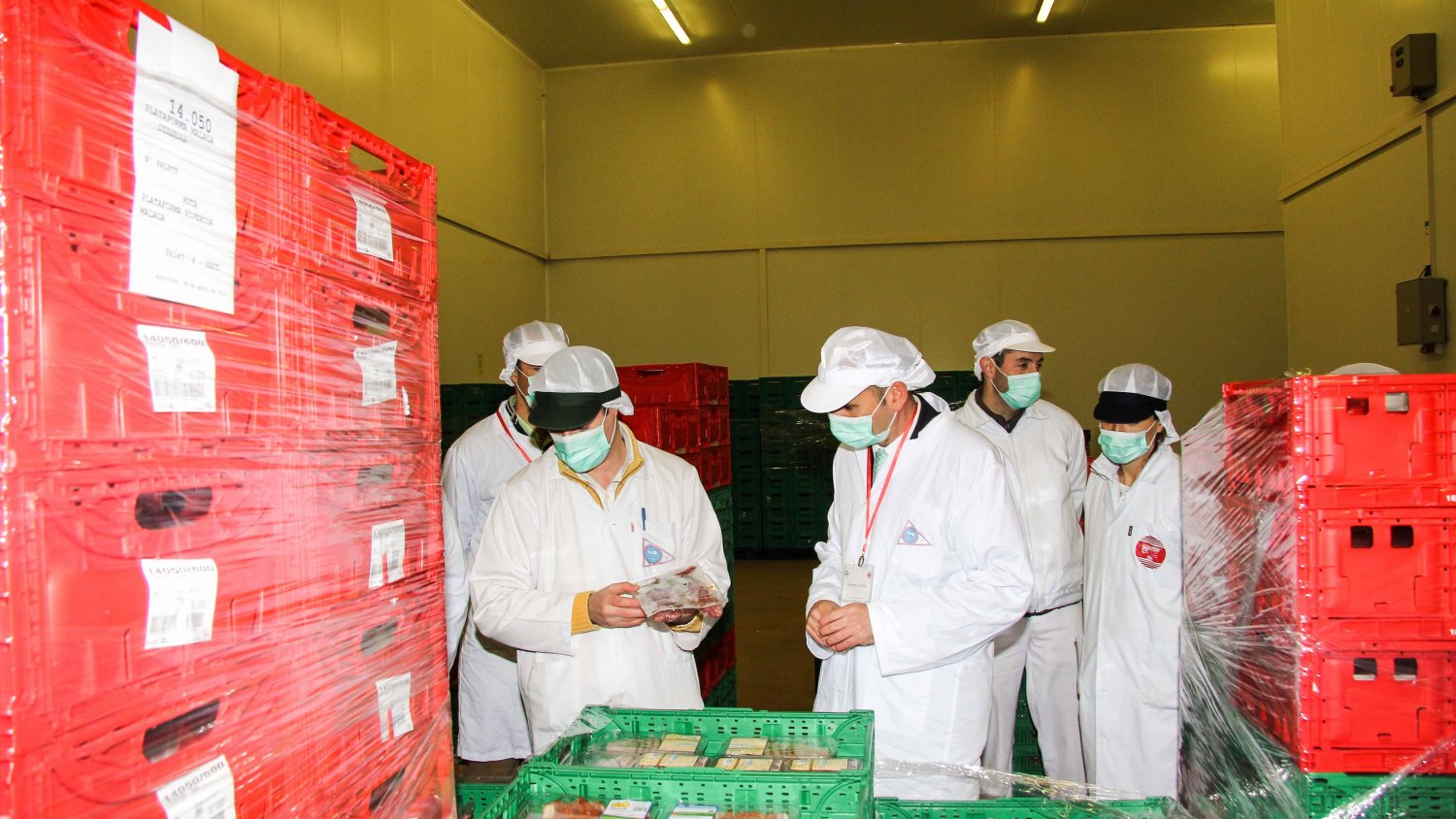 El PSOE aumentará un 50% el presupuesto de la Diputación destinado al sector agrario y ganadero