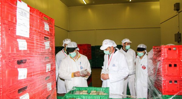 El PSOE aumentará un 50% el presupuesto de la Diputación destinado al sector agrario y ganadero