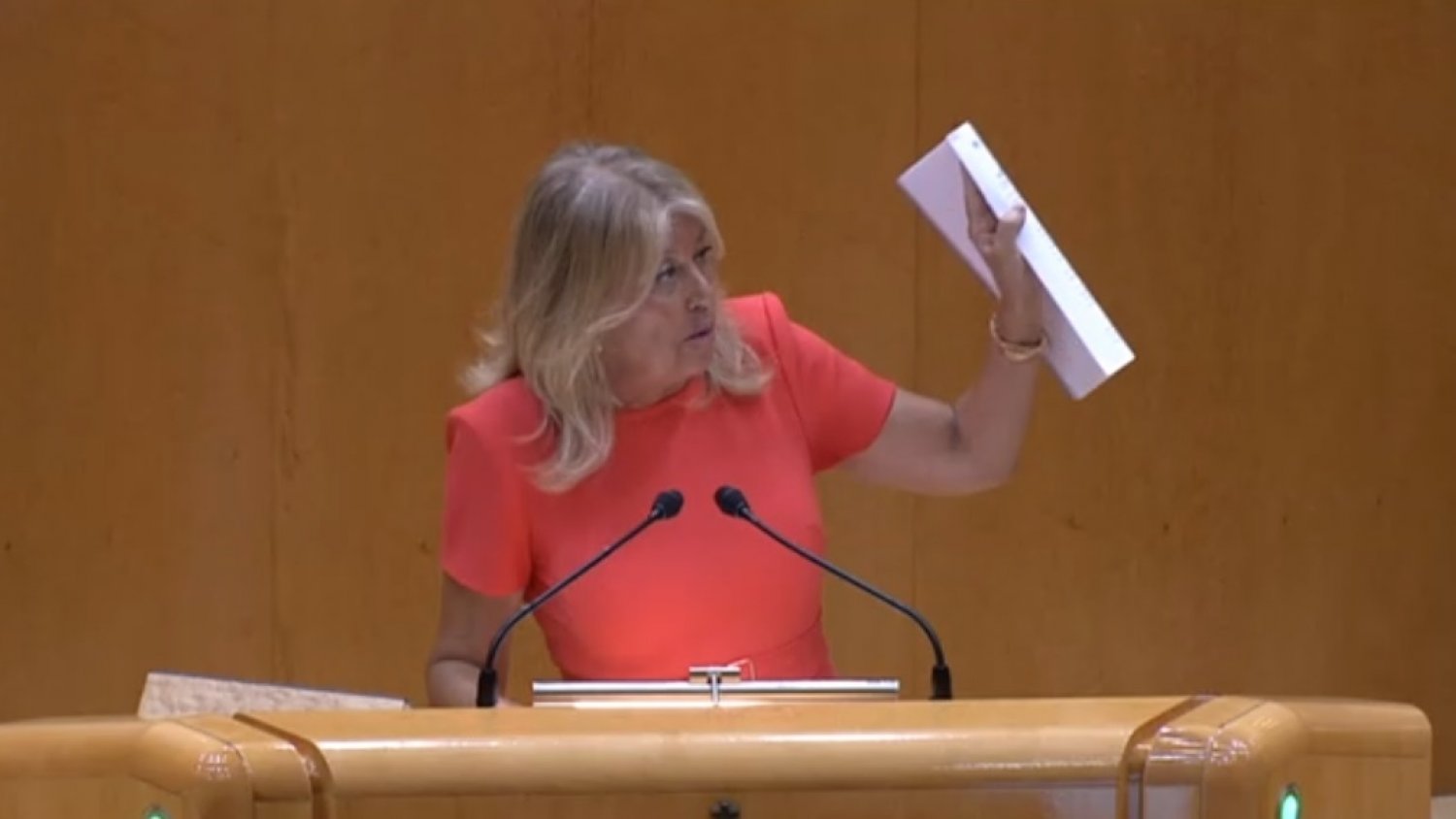 La alcaldesa de Marbella reivindica en el Senado la necesidad de que se acometan los proyectos de estabilización de las playas
