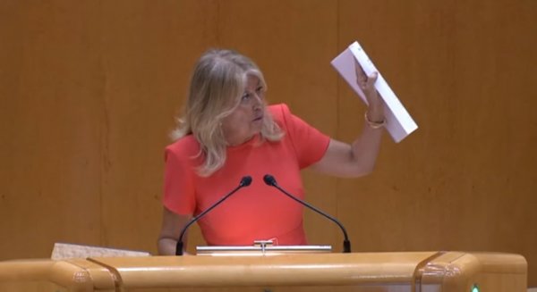 La alcaldesa de Marbella reivindica en el Senado la necesidad de que se acometan los proyectos de estabilización de las playas
