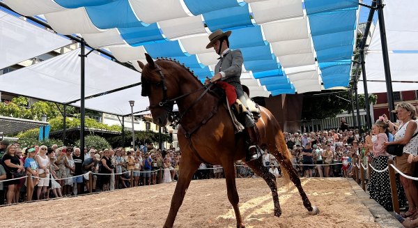 Un centenar de equinos y 27 enganches participan en la quinta edición de ‘Fuengirola A Caballo’