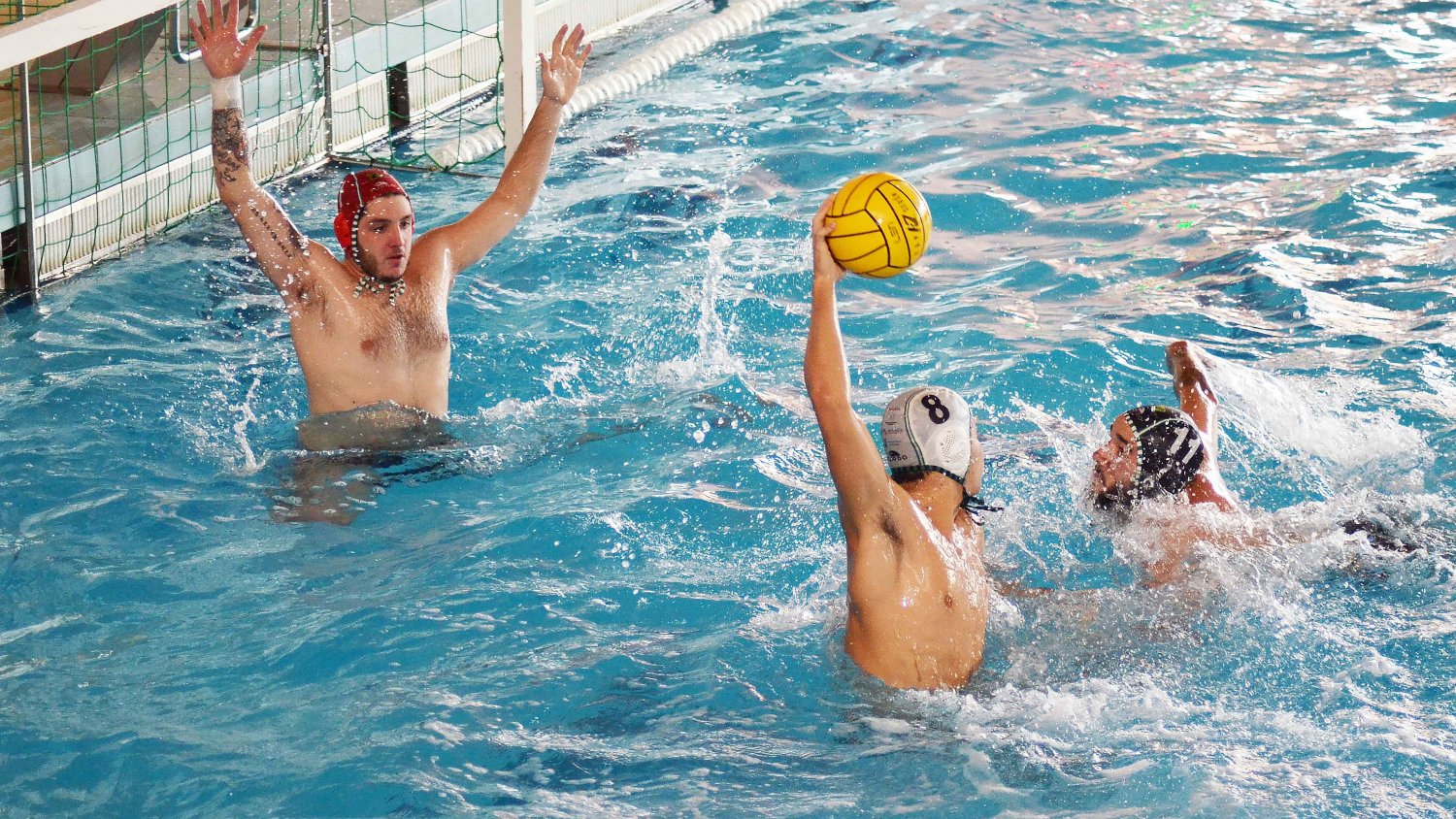 El Waterpolo Málaga se enfrenta al Elche en un partido importante y decisivo