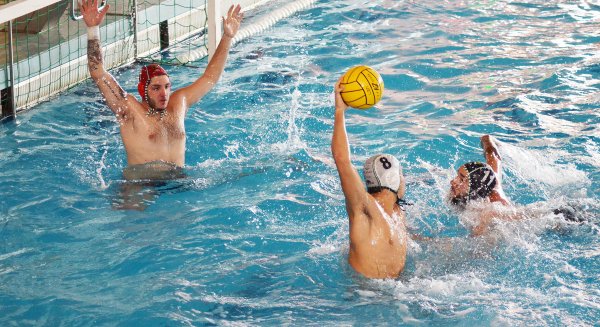 El Waterpolo Málaga se enfrenta al Elche en un partido importante y decisivo