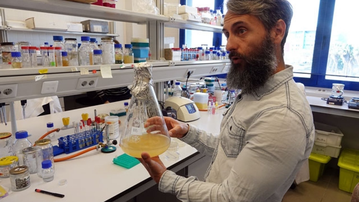 UMA.- El catedrático Diego Romero consigue una de las prestigiosas ayudas del Consejo Europeo de Investigación