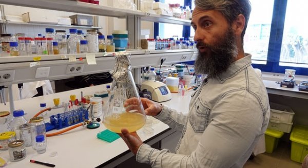 UMA.- El catedrático Diego Romero consigue una de las prestigiosas ayudas del Consejo Europeo de Investigación