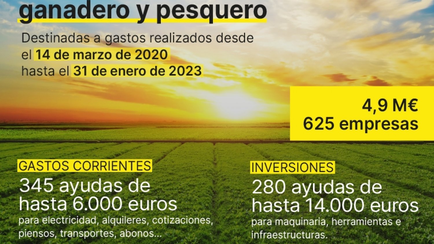 Un total de 625 empresas del sector agroalimentario, ganadero y pesquero reciben ayudas