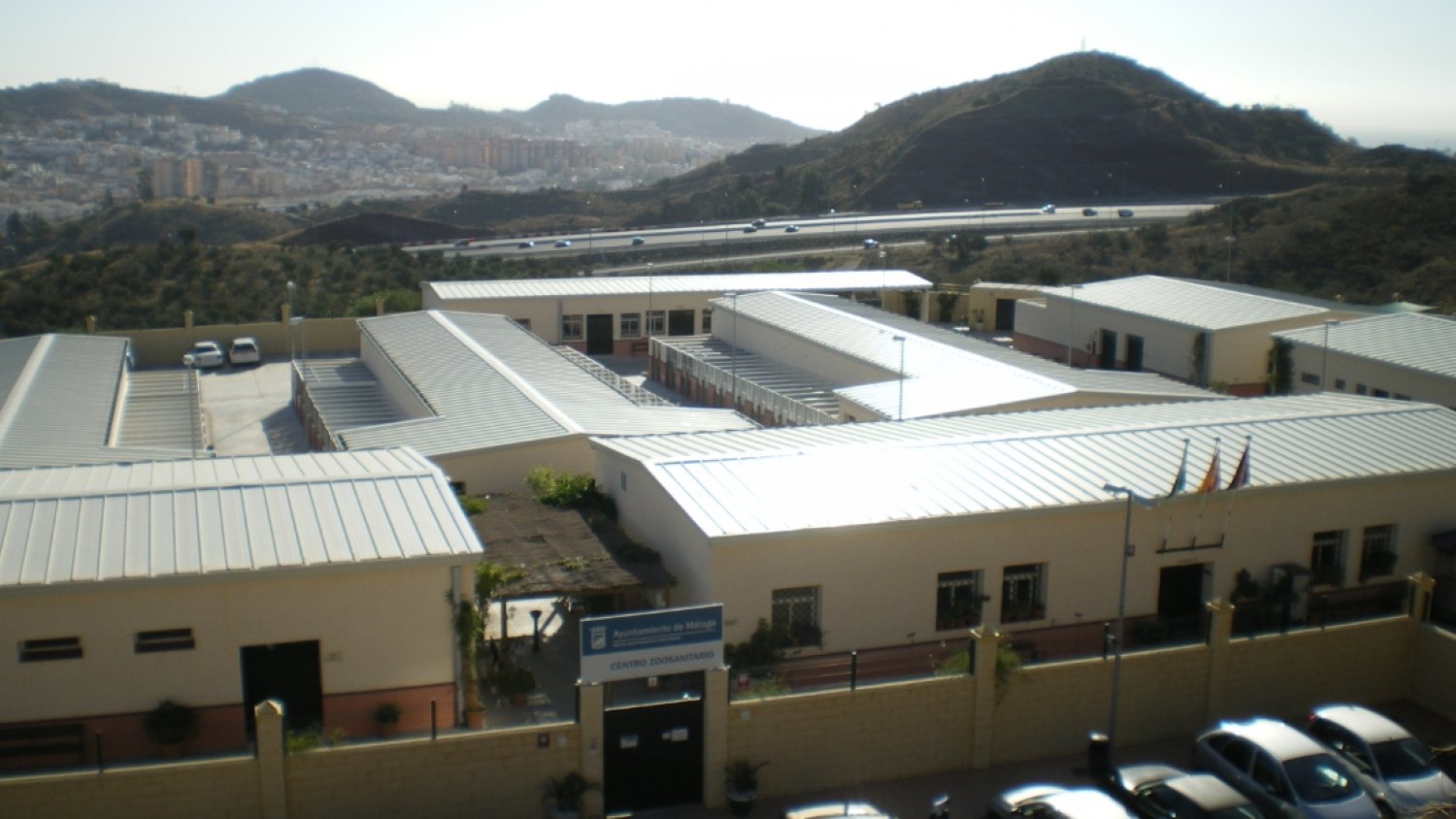 El Centro de Protección Animal Municipal cierra el 2022 manteniendo el sacrificio cero