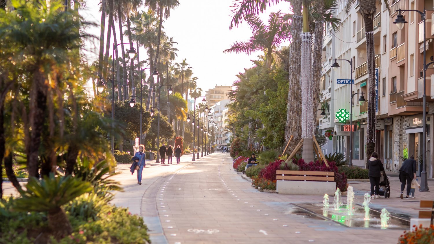 Estepona refuerza el embellecimiento de la ciudad con la plantación de más de 250.000 ejemplares