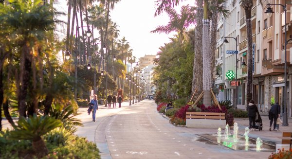Estepona refuerza el embellecimiento de la ciudad con la plantación de más de 250.000 ejemplares