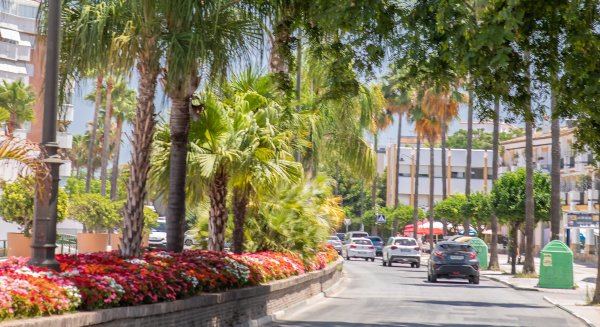Estepona licita el V Plan de Asfaltado, que actuará en medio centenar de calles