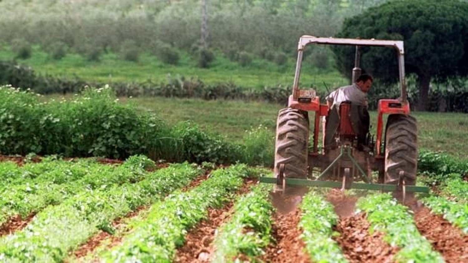 Asaja agradece a Diputación el esfuerzo en la gestión de las Ayudas al sector agroalimentario y pesquero