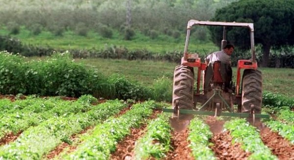Asaja agradece a Diputación el esfuerzo en la gestión de las Ayudas al sector agroalimentario y pesquero