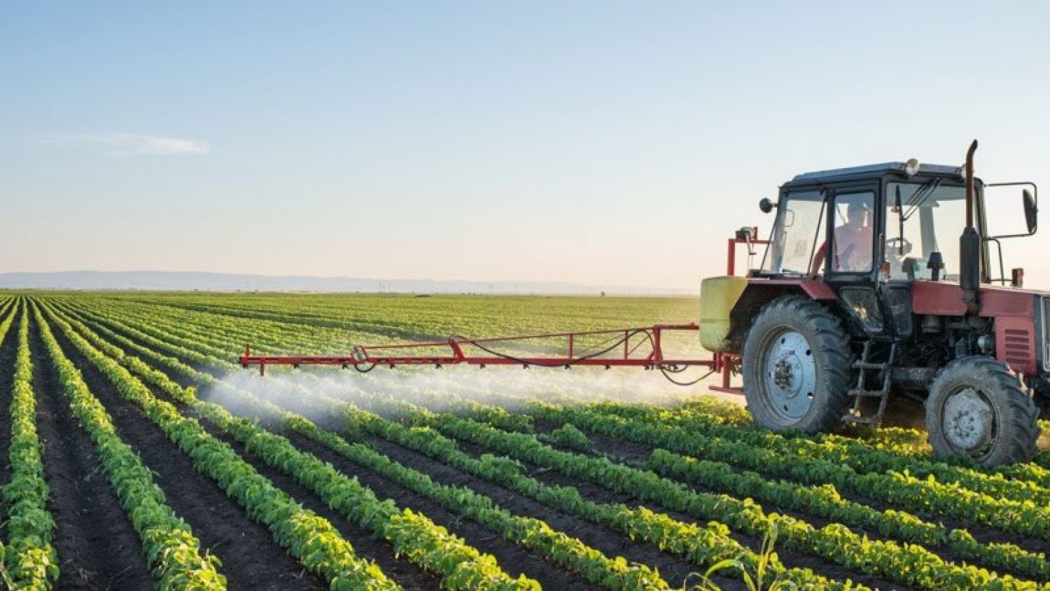 Asaja Málaga denuncia una oleada de robos en explotaciones agrarias de la provincia