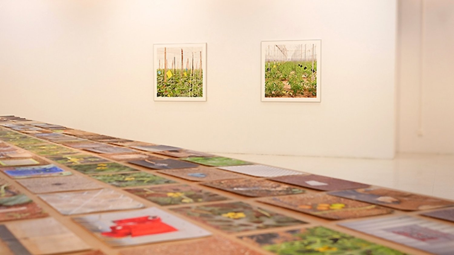 UMA.- ‘Mi campo de Nijar’ de Laura G. Bautista, nueva exposición en la Facultad de Bellas Artes