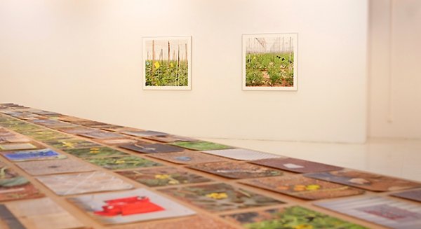 UMA.- ‘Mi campo de Nijar’ de Laura G. Bautista, nueva exposición en la Facultad de Bellas Artes