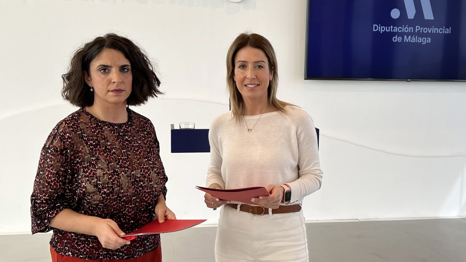 PSOE pide la implicación de la Diputación ante la instalación 'sin control de megaparques solares'