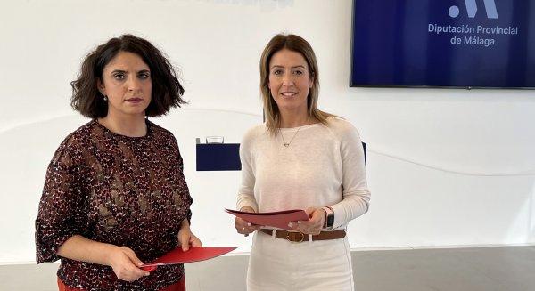 PSOE pide la implicación de la Diputación ante la instalación 'sin control de megaparques solares'