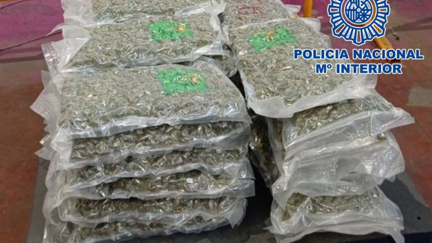 Desmantelada una organización criminal dedicada al tráfico internacional de marihuana 