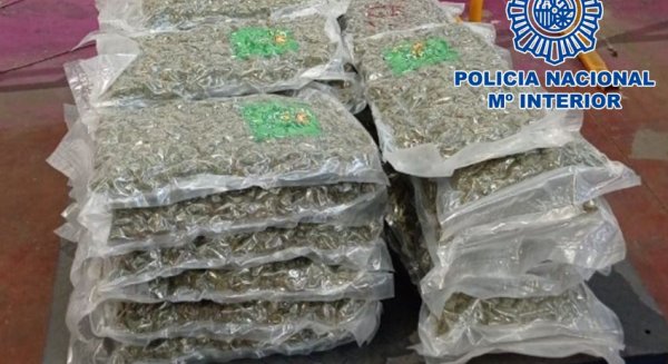Desmantelada una organización criminal dedicada al tráfico internacional de marihuana 
