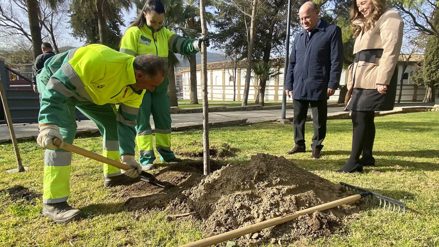 Antequera acomete la plantación de más de una veintena de árboles en los Jardines del Mapa