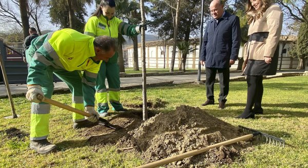 Antequera acomete la plantación de más de una veintena de árboles en los Jardines del Mapa