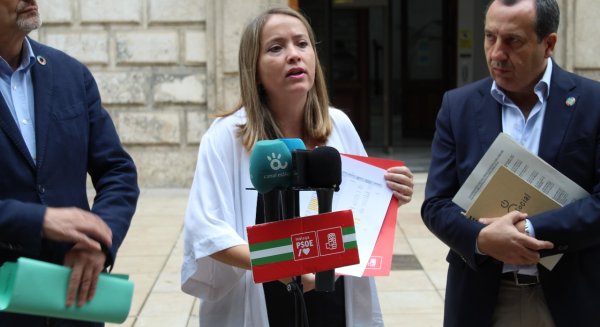 El PSOE llevará al Parlamento la situación de los vecinos del Perchel