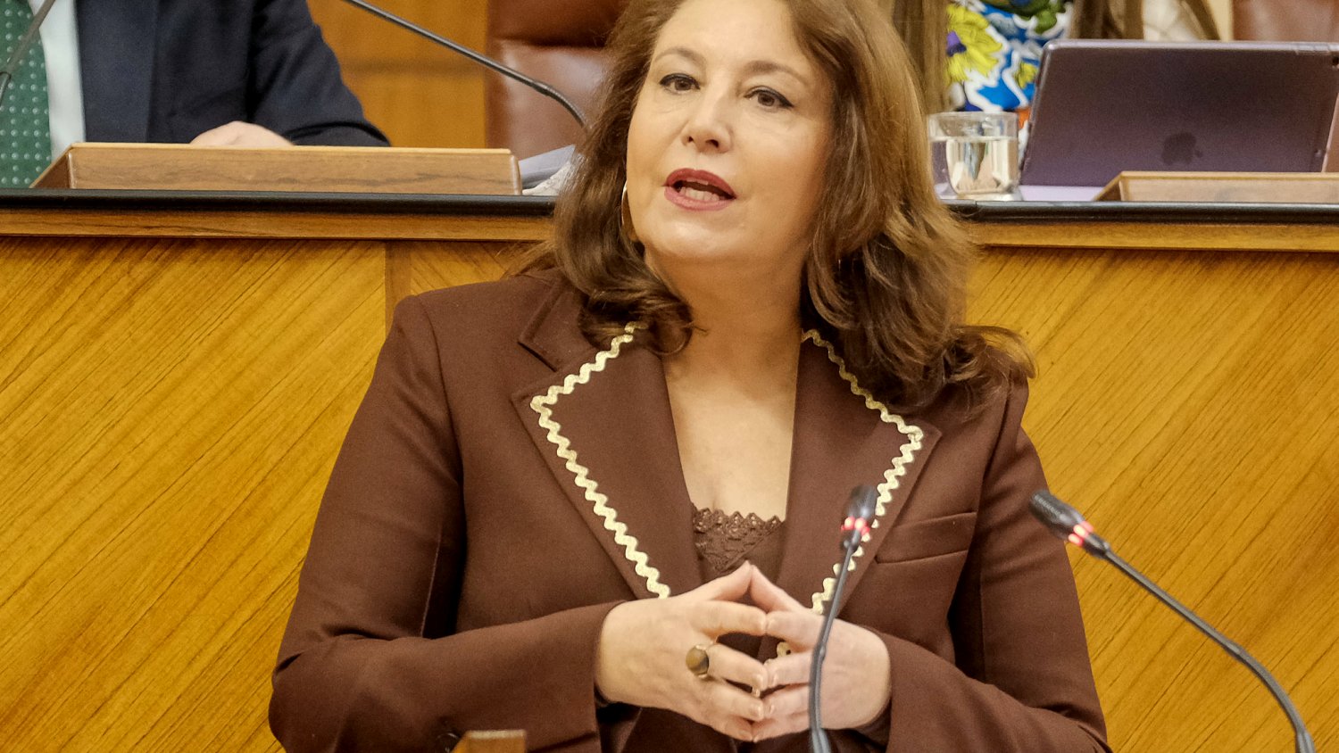 La consejera aplaude el 'acuerdo histórico' del sector andaluz para reclamar cambios en el Pepac