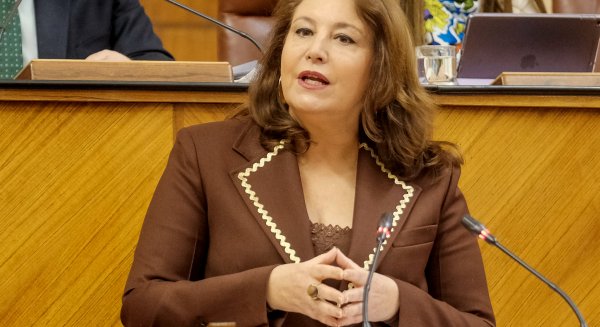 La consejera aplaude el 'acuerdo histórico' del sector andaluz para reclamar cambios en el Pepac