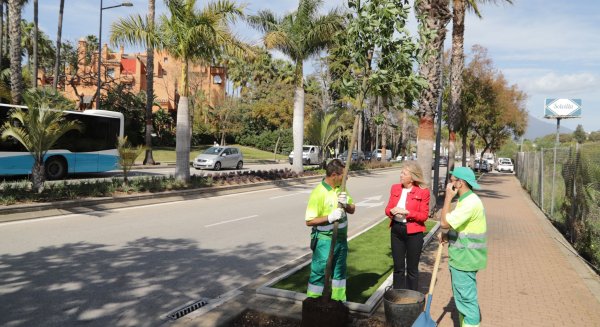 Marbella concluye la renovación de la red de riego de la avenida Príncipe Salman