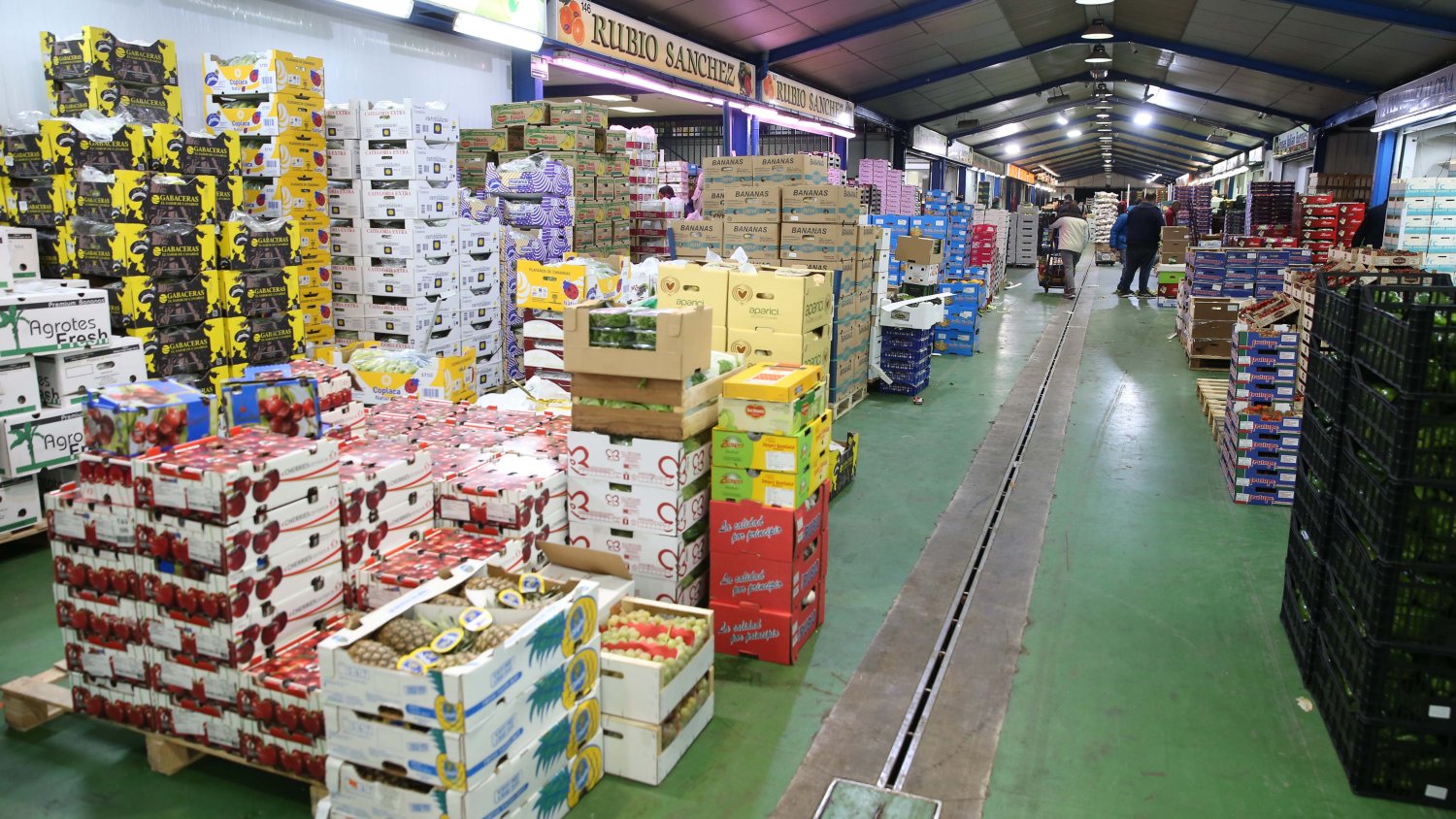 Mercamálaga invierte un millón de euros de la unidad alimentaria
